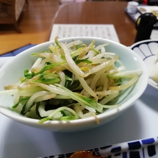 豆苗ともやしのなむる